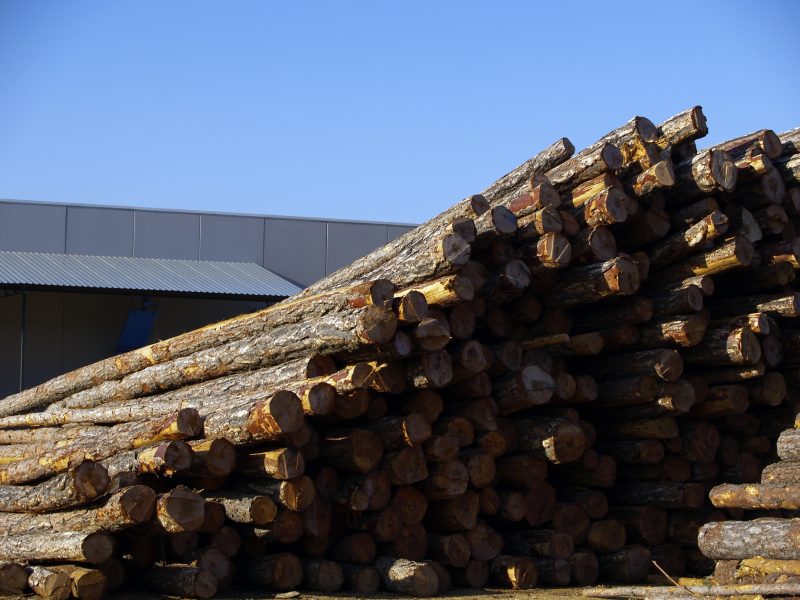 El sector de la madera en la provincia de Cuenca